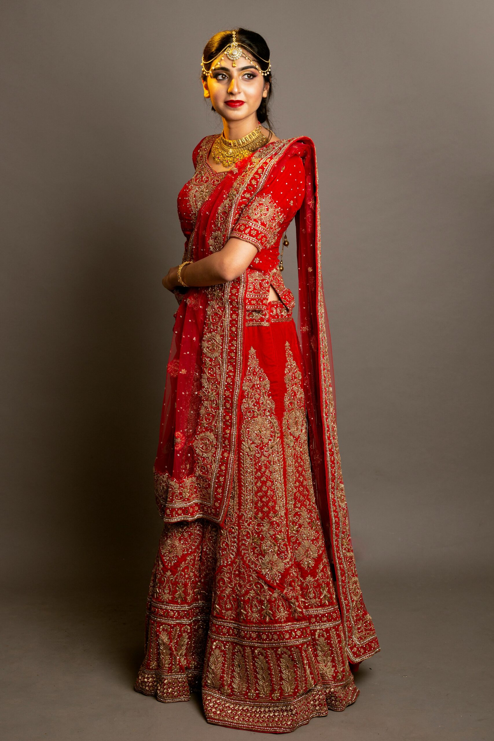 HOME Elegant portrait of a woman in traditional Indian red saree with golden jewelry, showcasing cultural heritage.